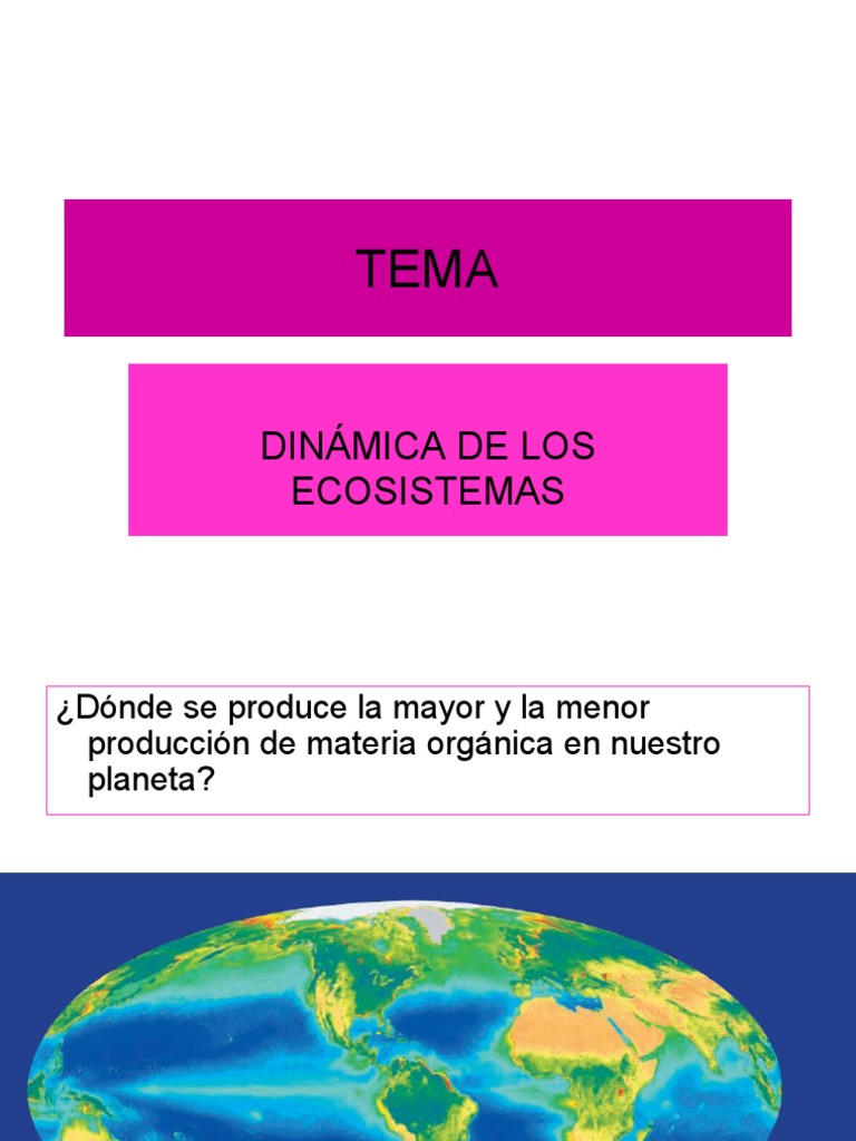 Dinámica de Ecosistemas y Energía | PDF | Fertilizante | Ecosistema