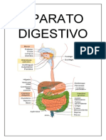 Aparato Digestivo 12