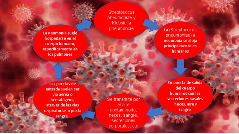 Ciclo o Cadena de Infeccion | PDF