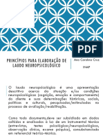 Princípios para Elaboração Do Laudo Neuropsicológico