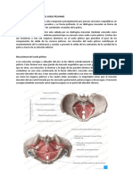 Fisiologia y Anatomia Del Suelo Pelviano