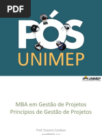 MBA GP PrincipiosGP 5 6
