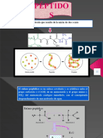 Peptidos Bioquimica Original