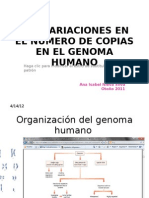 Organizacion Del Genoma Humano