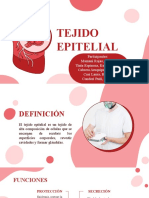 Tejido Epitelial - Grupo Anatomia