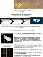 Presentacion Final J.G 15 Resumen e-LogicWall Corregido, Tipos de Muro y Poblados de Tierra 08 Enero Revisar