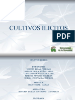 Dipositivas Ilicita