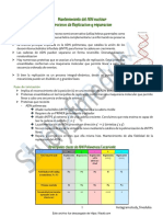 Mantenimiento Del ADN Nuclear y Mecanismos de Reparacion