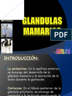 Glandulas Mamarias