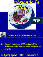 Célula 2