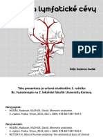 Krevni A Lymfaticke Cevy