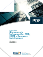 Sist Informacion ERP CRM y Business Intelligence Indice
