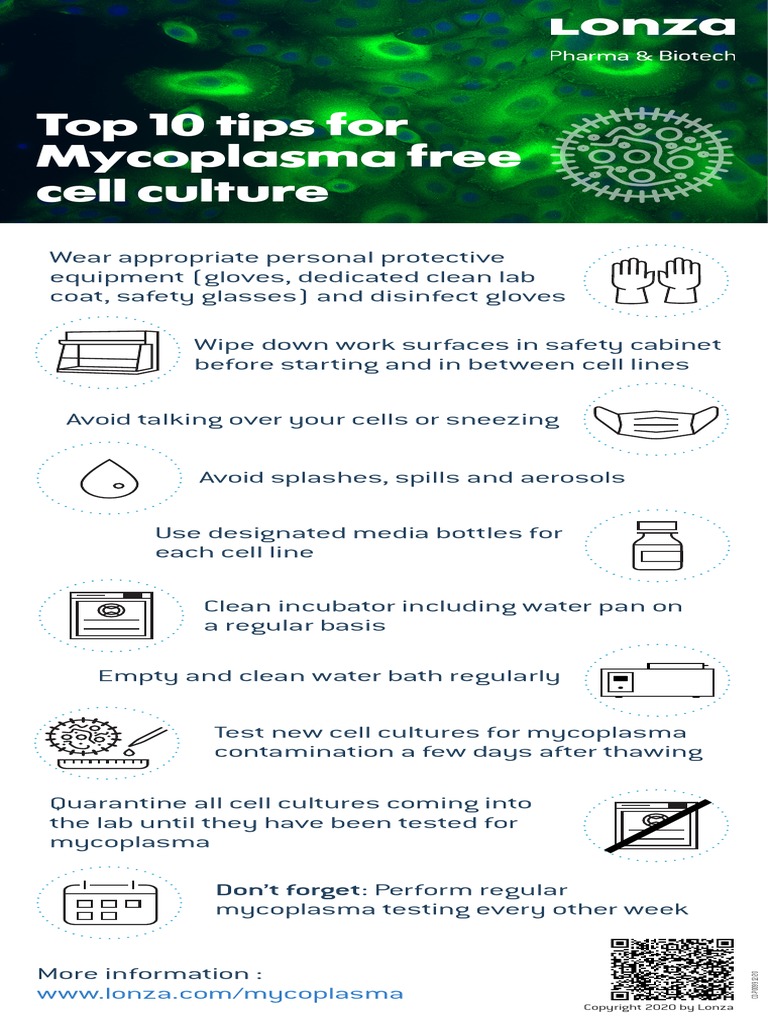 Top 10 Tips For Mycoplasma Free Cell Culture PDF