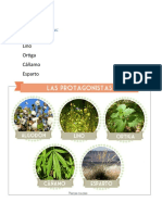 Tipos de Plantas