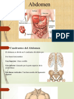 Abdomen