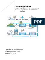 Chemistry Report - Water Purification