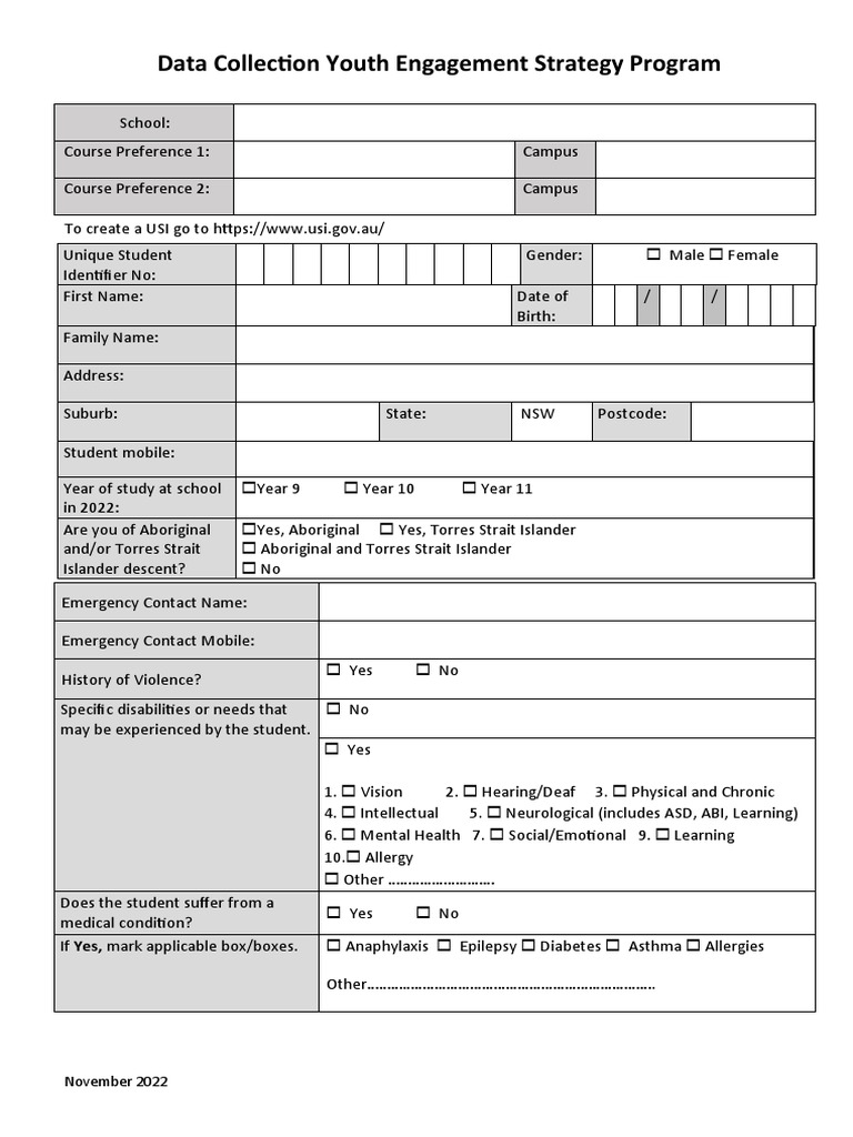 Youth Engagement Data Form | PDF