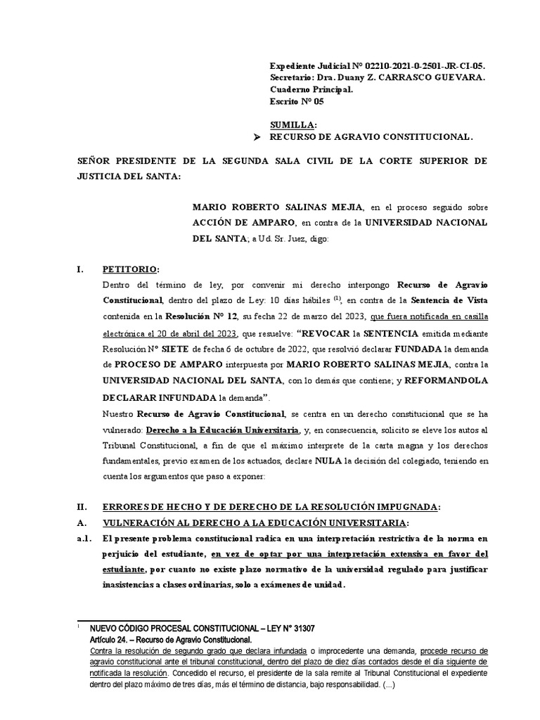 Recurso de Agravio Constitucional UNS | PDF | Ley procesal | Constitución
