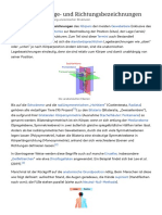 Anatomische Lage - Und Richtungsbezeichnungen - Wikipedia