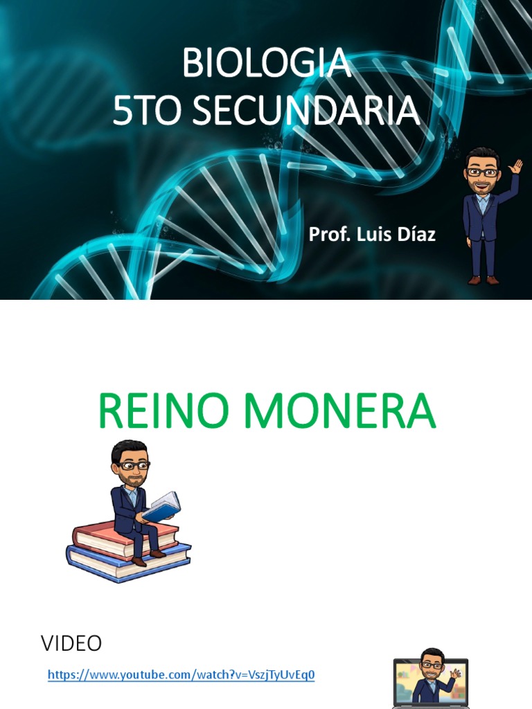 Taxonomía del Reino Monera | PDF