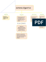 El Sistema Digestivo: Ingestió N Digestió N Absorción Egestión