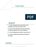 Cell Growth and Cell Cycle