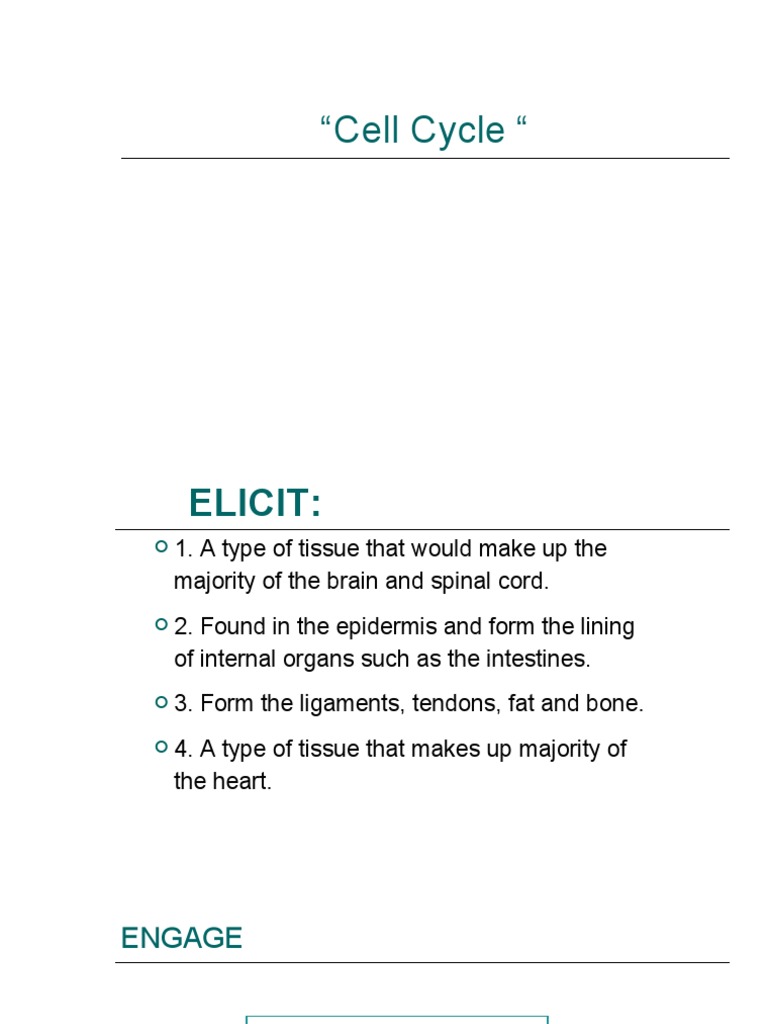 Cell Growth and Cell Cycle Biology Diagrams