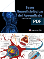 Neurociencias