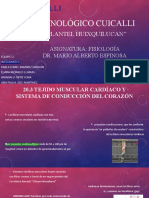 Exposición Fisiologia