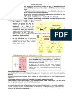 Acidos Nucleicos