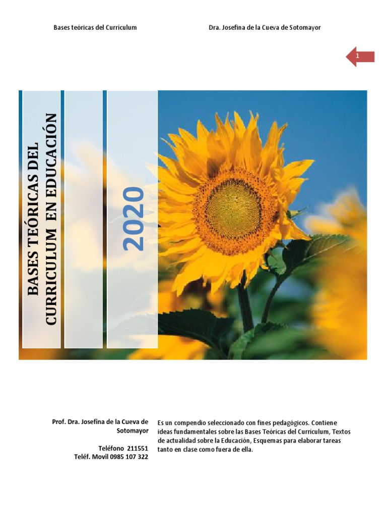 Bases Teóricas del Currículum Educativo | PDF | Plan de estudios | Maestros
