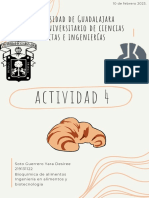 Actividad 4