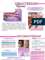 Mycobacterium Leprae