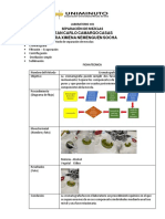 Laboratorio Separaciòn Mezclas