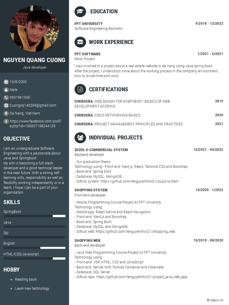 Nguyen Quang Cuong: Java Developer Profile | PDF | Spring Framework ...