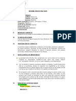 Formato de Informe - Proyectivo TDFH