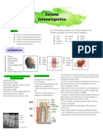 Resumen 3 Intro