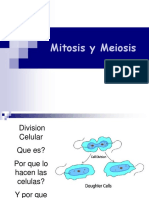 Mitosis y Meiosis 1 1