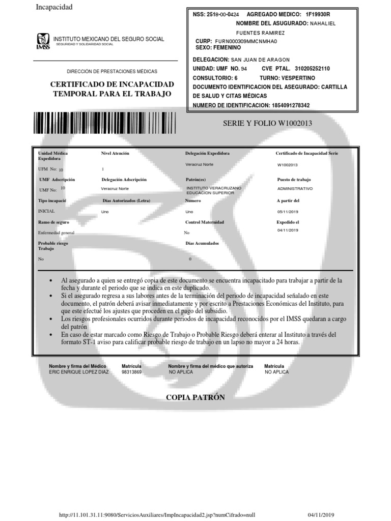 Formato de Incapacidad IMSS | PDF | Ciencias de la Salud | Medicina