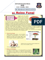 Reino Fungi Ficha de Trabajo 5137