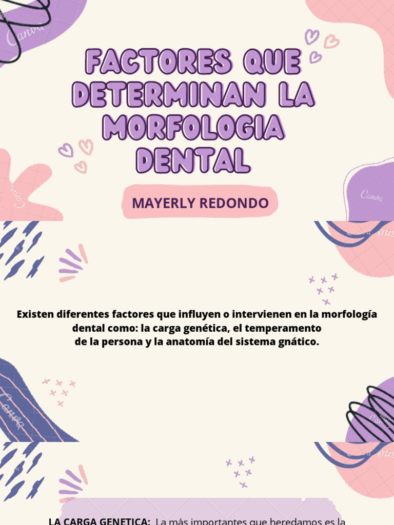 Factores Que Determinan La Morfologia Dental | PDF | Diente | Odontología