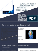 Lesión Cerebral