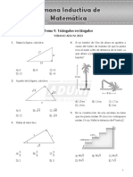 Tema 9 - Sem - Induc - Mat - VAD