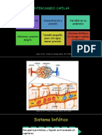 Intercambio Capilar