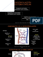 MICROCIRCULACIÓN