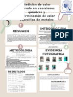 Medición de Calor Liberado en Reacciones Químicas y Determinación de Calor Especifico de Metales