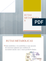 Rutas Metabolicas