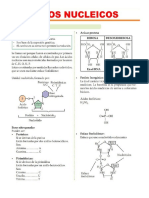 acidos nucleicos 1°