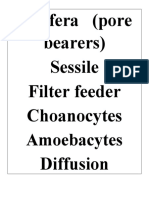 Porifera (Pore Bearers) Sessile Filter Feeder Choanocytes Diffusion