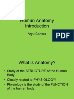 Anatomy Introduction
